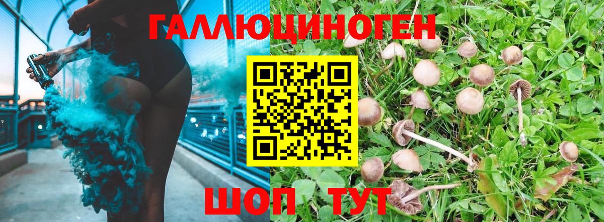 Псилоцибиновые грибы Magic Shrooms Лениногорск
